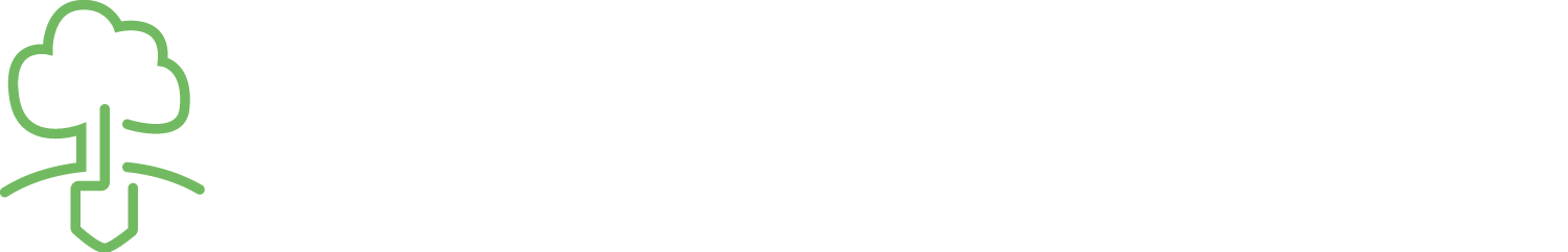 Pflasterarbeiten & Außenanlagen